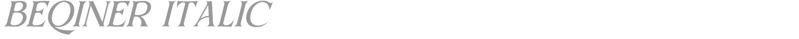 Beqiner font preview
